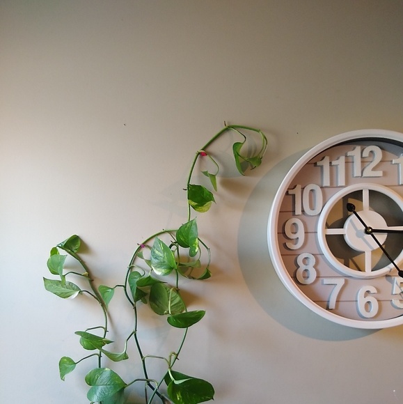 plantdad2017